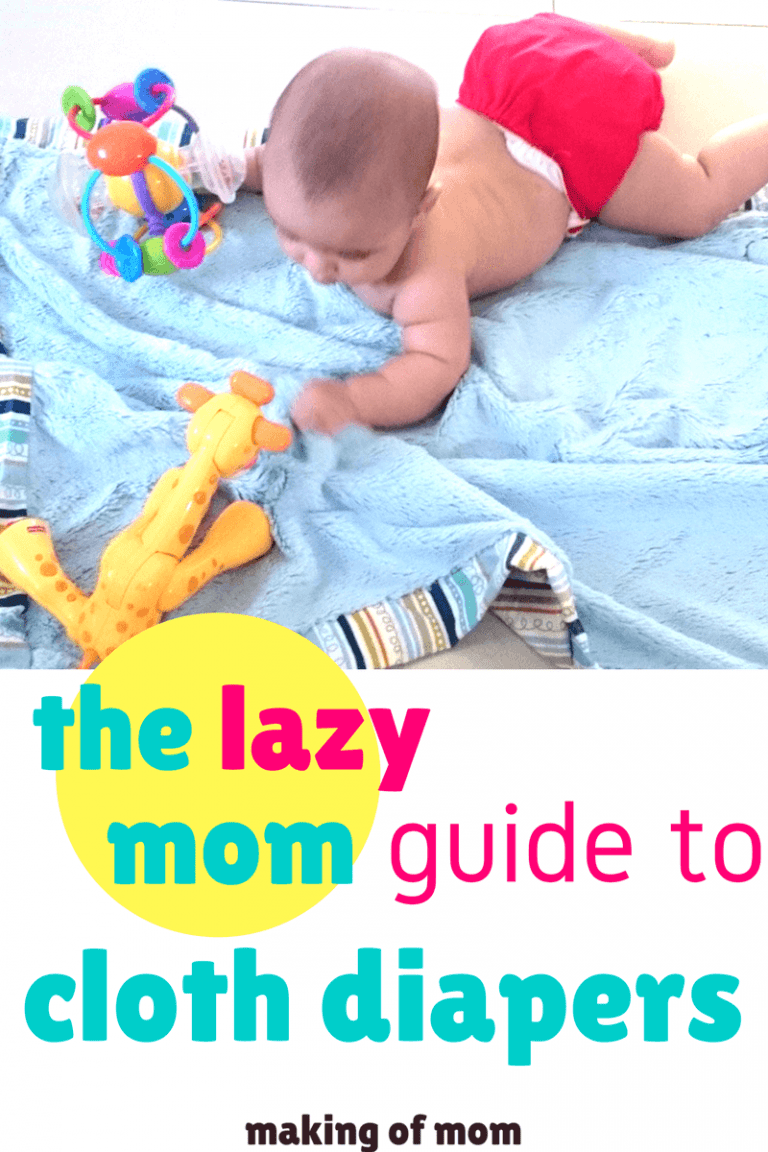 The Lazy Mom's Complete Guide to Cloth Diapers Making of Mom