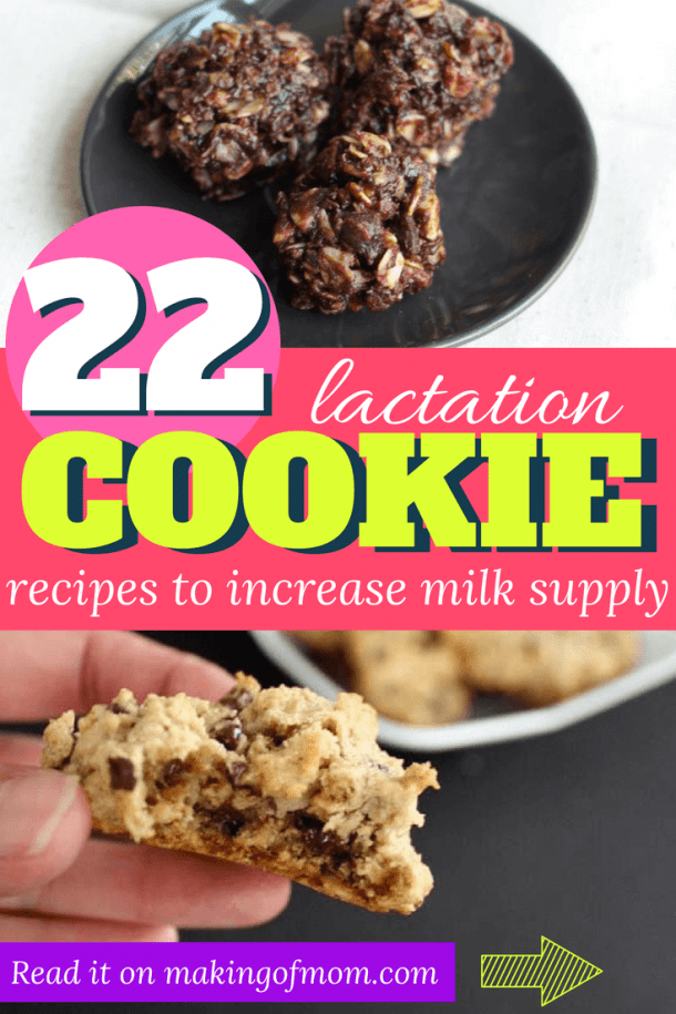 22 Delicious Lactation Cookie Recipes to Increase Your Milk Supply Making of Mom