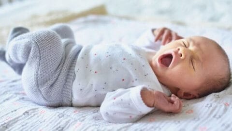 5 Best Baby Probiotics [2021 Review]