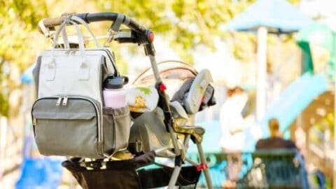 Best Purses for Moms (with Toddlers &/or a New Baby)